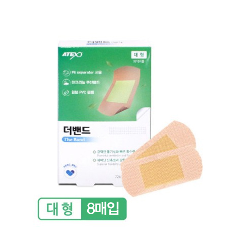 더밴드 에이 대형