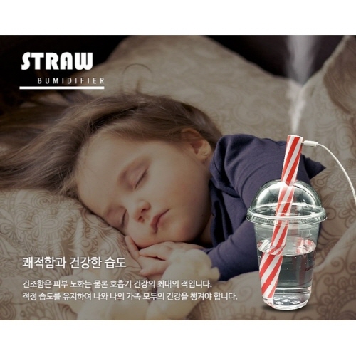 USB 휴대용 초음파 스트로우 가습기