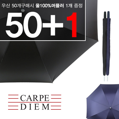 카르페디엠 75*8K 장우산 (CD08)