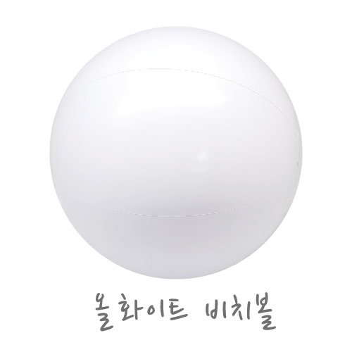 [대] 올화이트 비치볼