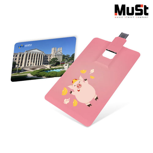 뮤스트 카드 OTG C-TYPE USB 2.0 메모리, 16GB~128G