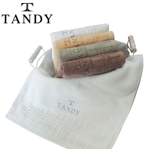 탠디 윈도우세면타올-150g